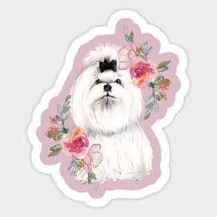 Cute White Shih Tzu with Flowers Watercolor Art Sticker